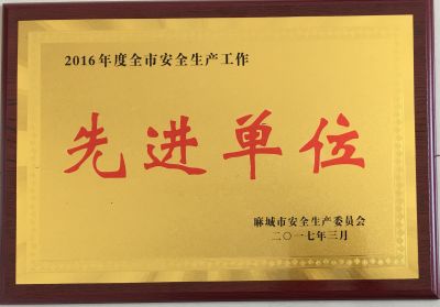 2016年全市安全生產(chǎn)先進單位